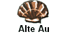 Alte Au