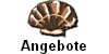Angebote
