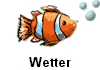 Wetter
